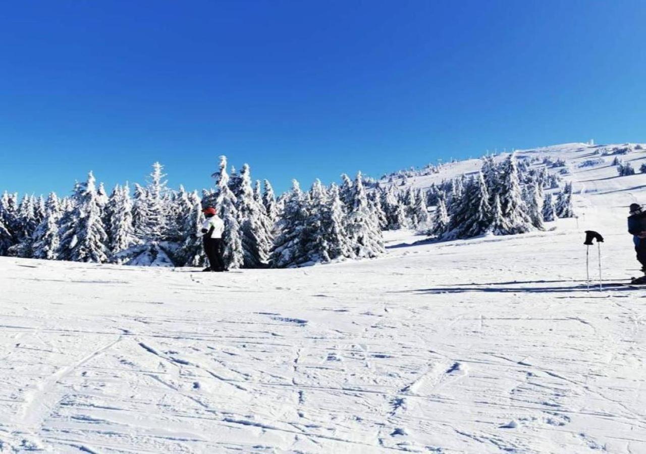 Bed and Breakfast Kopaonik011 Konaci&WoodSide Zewnętrze zdjęcie
