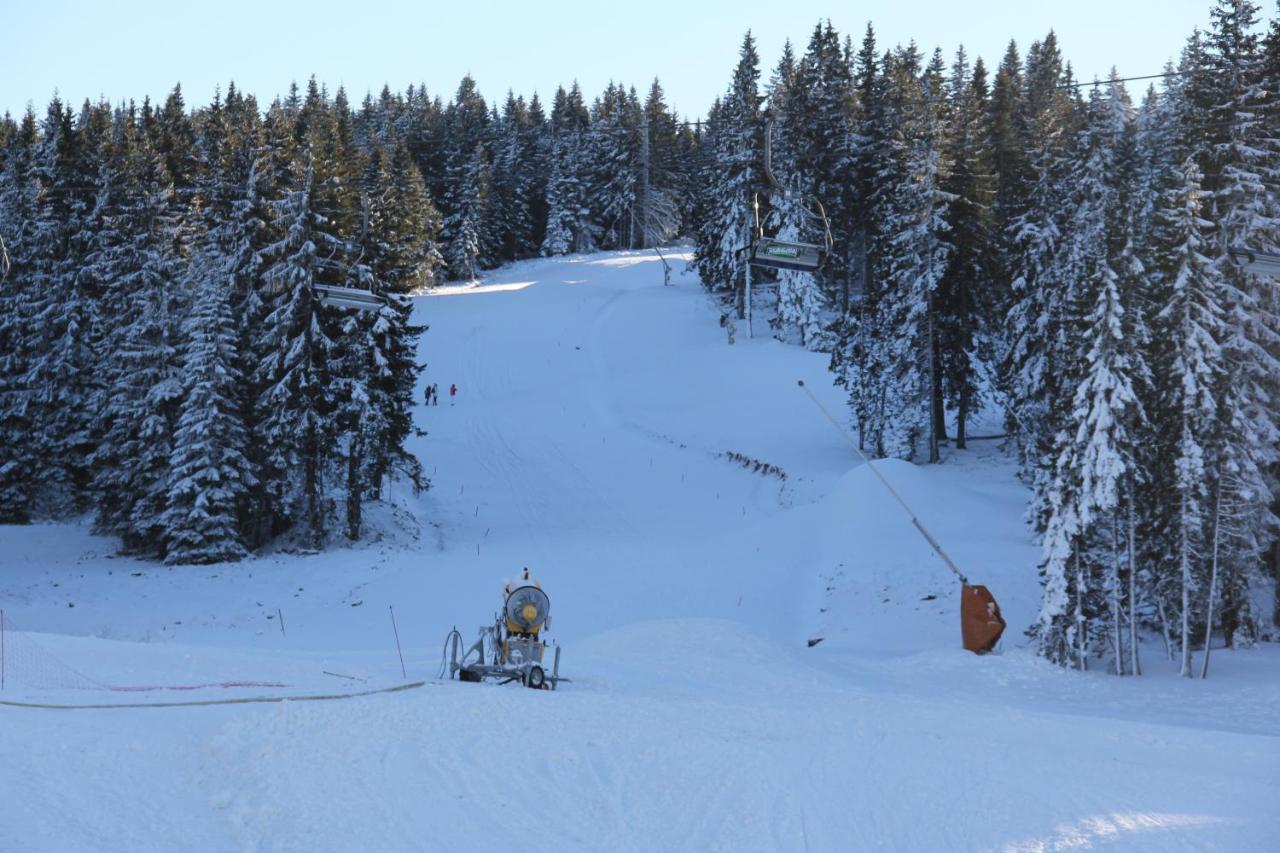 Bed and Breakfast Kopaonik011 Konaci&WoodSide Zewnętrze zdjęcie